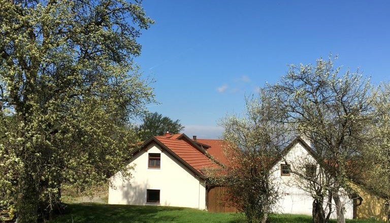 A white house with a red roof stands on a green meadow, surrounded by blossoming trees under a clear blue sky.
