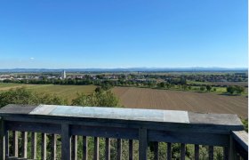 Absdorf viewing platform, © Region Wagram Stefan Czamutzian