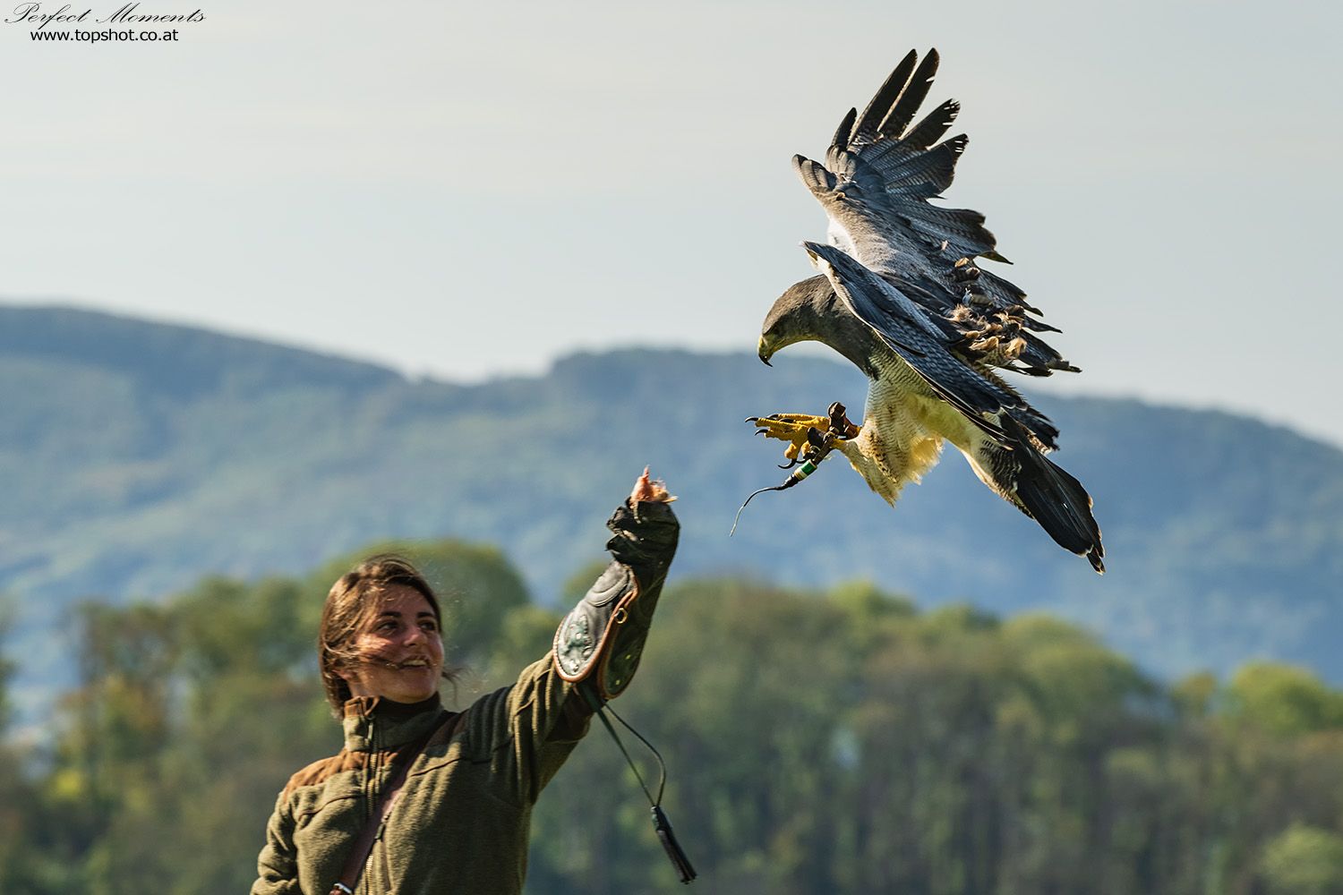A woman in green clothing holds a large bird of prey on her gloved arm. Trees and hills can be seen in the background.