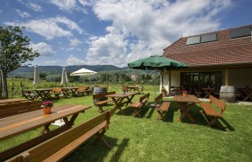 Heurigen benches on the green meadow