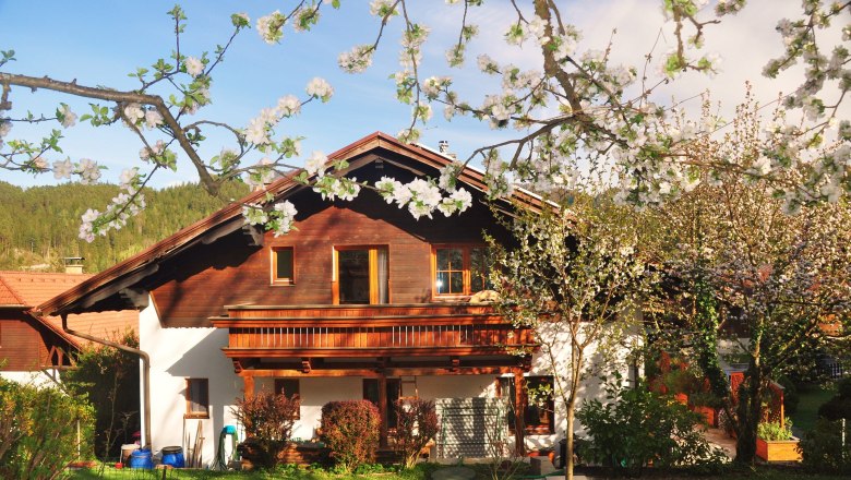 House King, © Größbacher