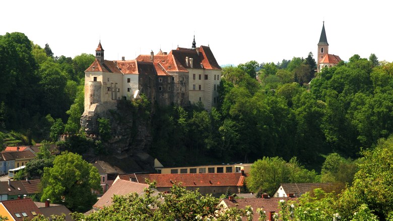 Raabs Castle on a hill with surrounding trees and houses.