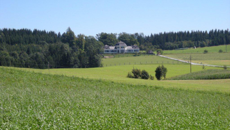 Idyllic surroundings of the Gut Ziegersberg castle, © Schloss Gut Ziegersberg Extensive green meadows with a castle in the background, surrounded by forests.