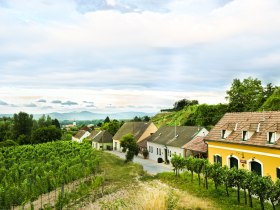 Rohrendorfer Kellergasse, &copy; Kremstal
