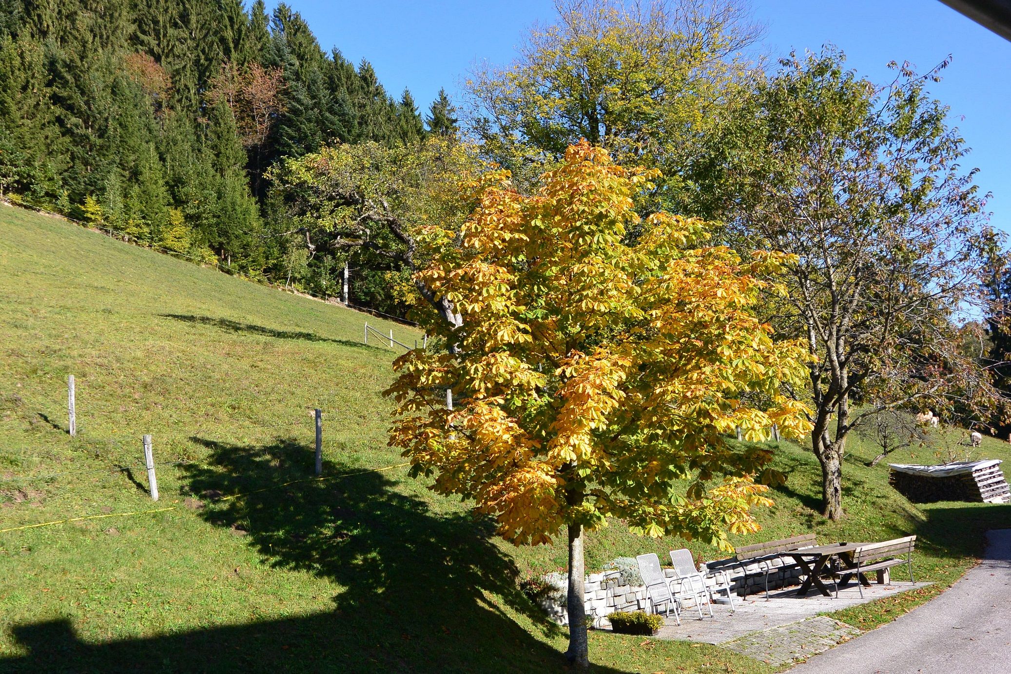 Himbrechtsöd
