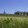 Landscape with chapel, vineyards and houses under a blue sky.