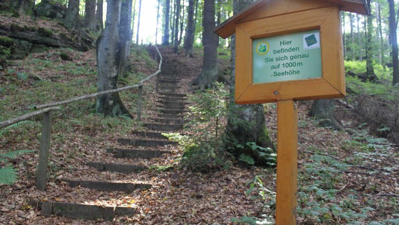 Ascent Weinsberg, © Tourismusverein Bärnkopf
