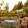 A garden with a table and chairs, surrounded by blooming roses and trees in the sunlight.