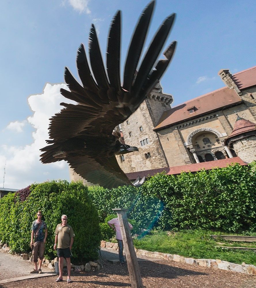 A large bird flies close to a castle while two people stand in the background.