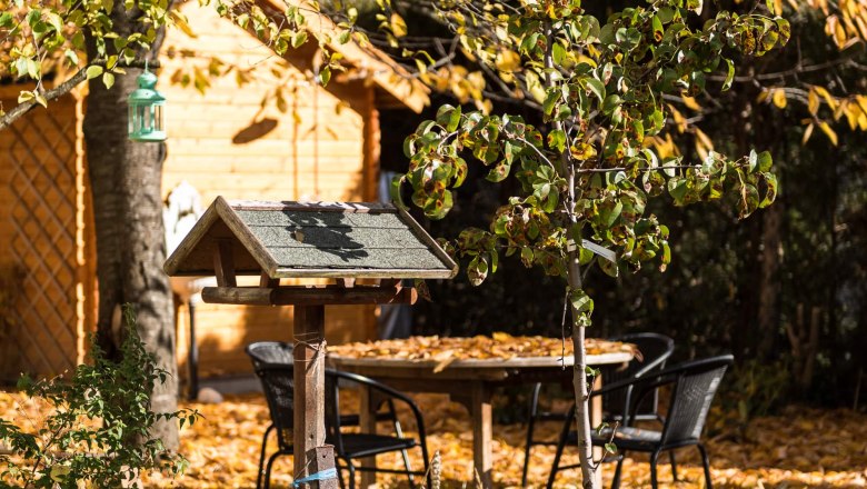 An autumnal garden covered with leaves, a birdhouse in the foreground, a table and chairs in the background, surrounded by trees and a wooden house.