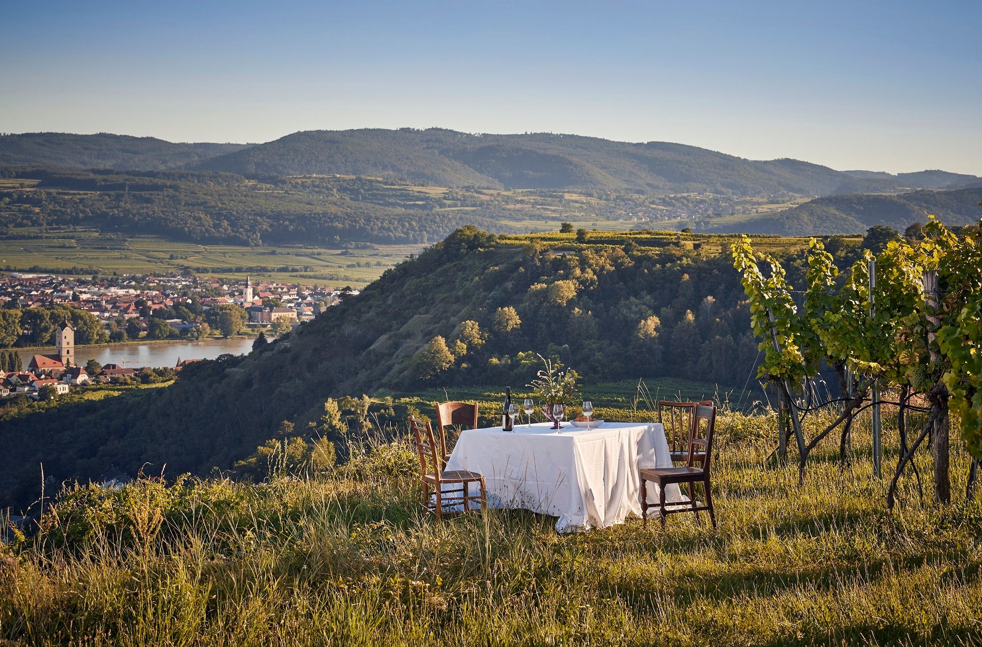 A laid table in a vineyard with a view of a town and hills in the background.