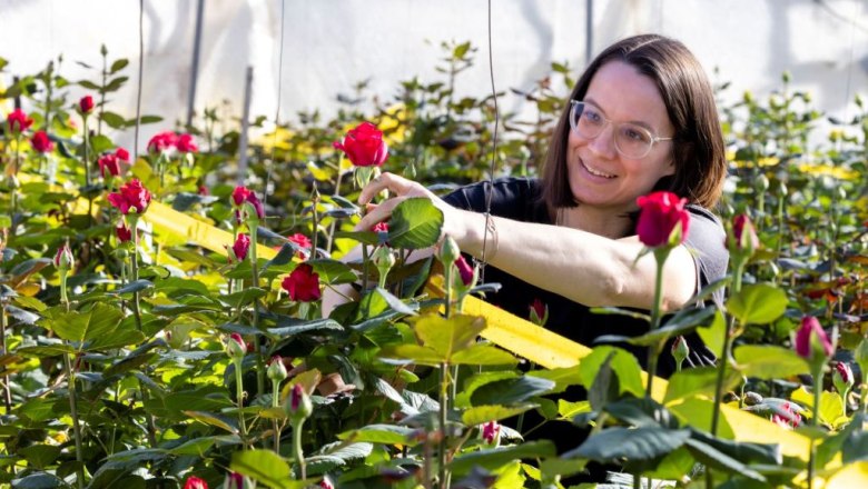Zoubek roses, © Zoubek Blumen