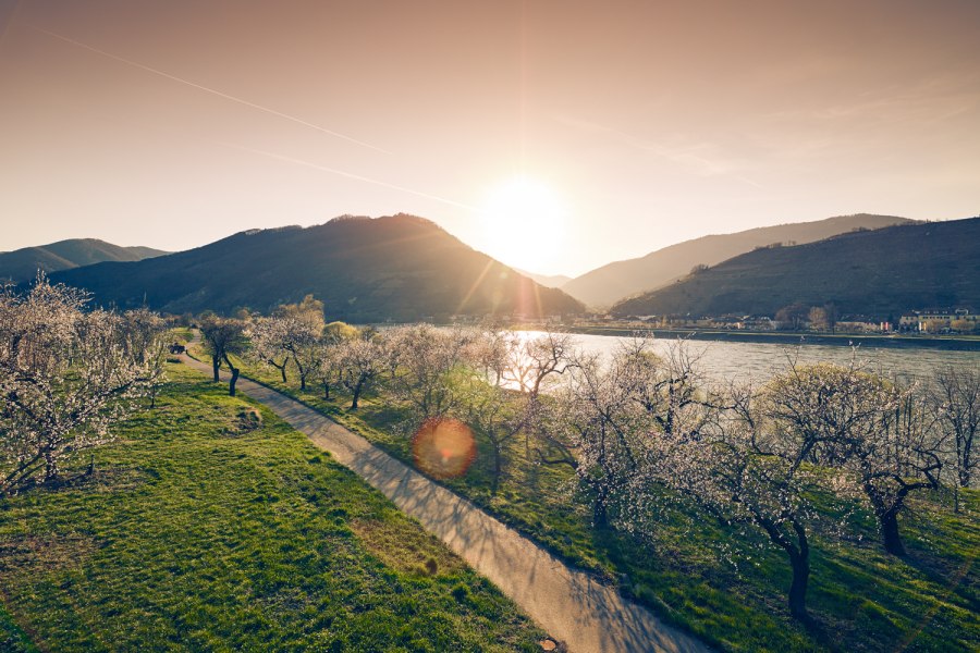 Spring in the Wachau, © Andreas Hofer