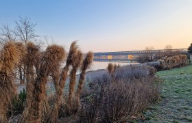 A bridge over the Danube in the background, surrounded by bare trees and frozen grass in the foreground.