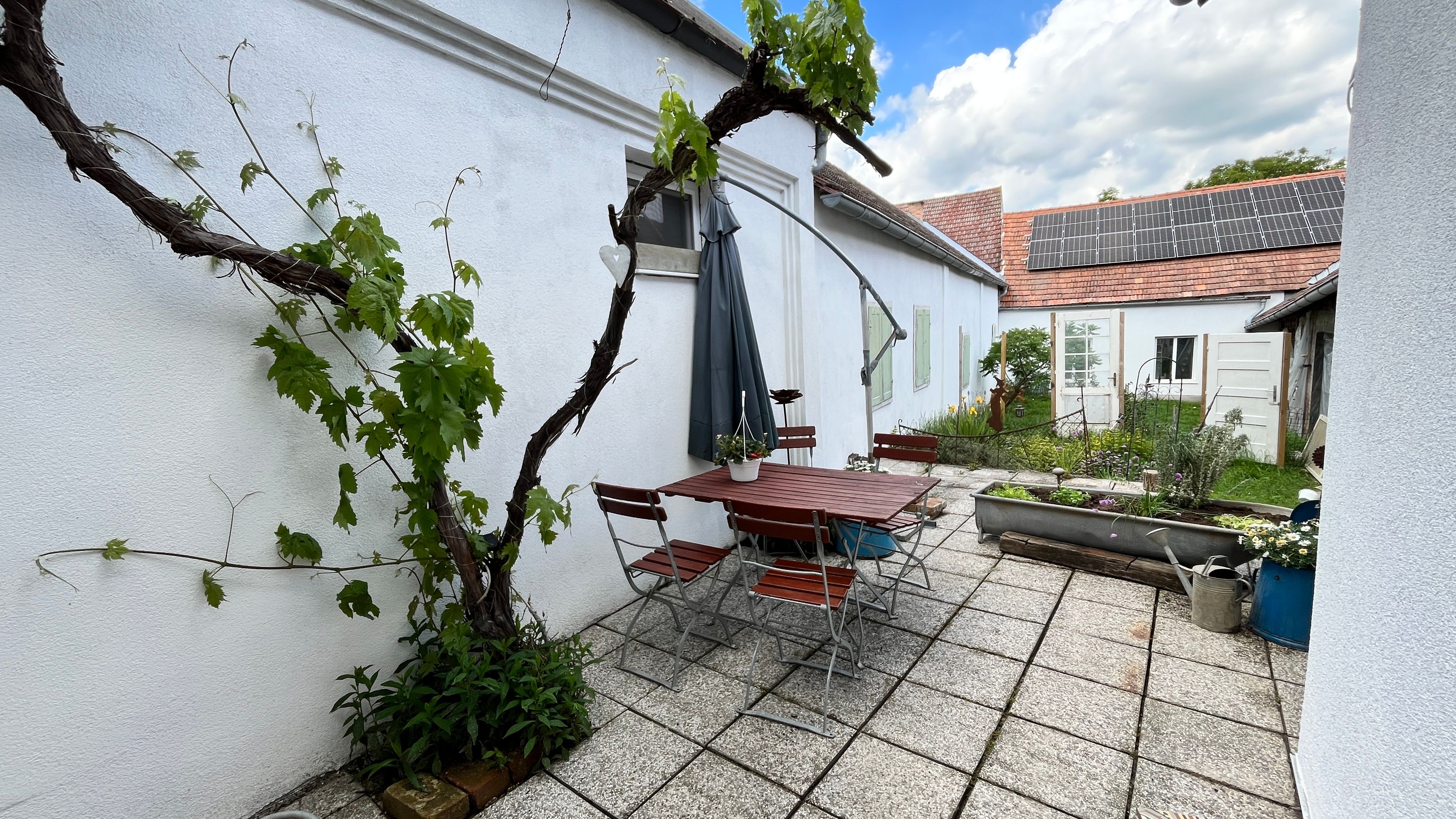 Terrace with table, chairs and grapevine on white wall, solar panel on roof in the background.