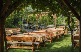 A wine tavern garden with wooden benches and tables under an arbor of vines.