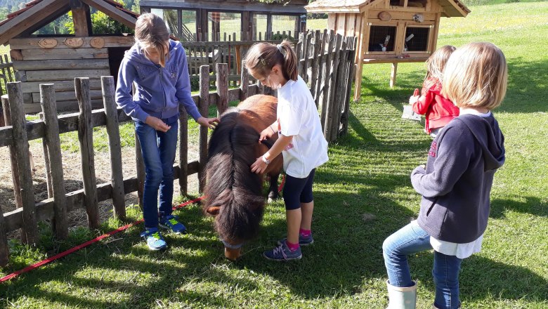 Children stroking a pony in a meadow next to a wooden fence.