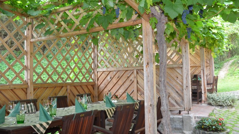A guest garden with wooden tables and chairs, covered by a pergola with vines.