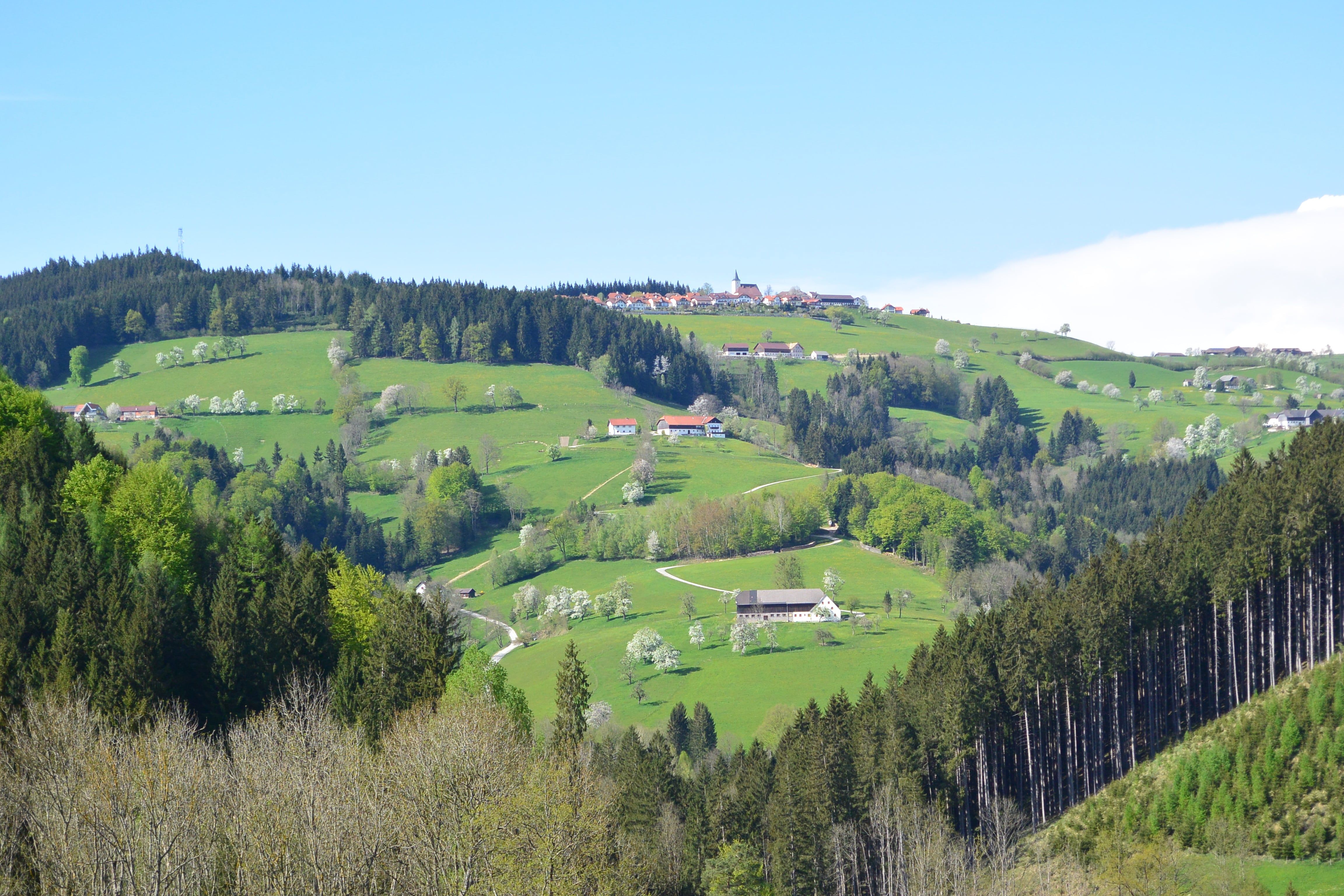 Himbrechtsöd