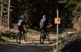 Herrgottschnitzer Route Uphill, &copy; Wexl Trails