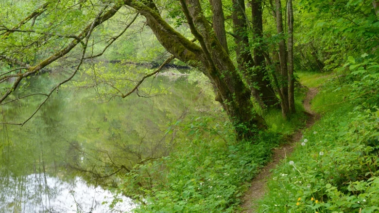 A narrow path leads along a quiet river, surrounded by lush greenery and trees.