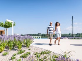 Garten & Baumkunstwerke THEMENWEG, © Donau Niederösterreich - Kamptal-Wagram-Tullner Donauraum