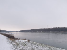 Donau Bad Deutsch-Altenburg, © Donau Niederösterreich - Tourismusbüro Carnuntum-Marchfeld