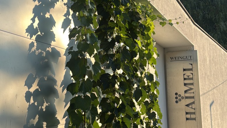 Exterior view of the Haimel winery with vines on the wall.