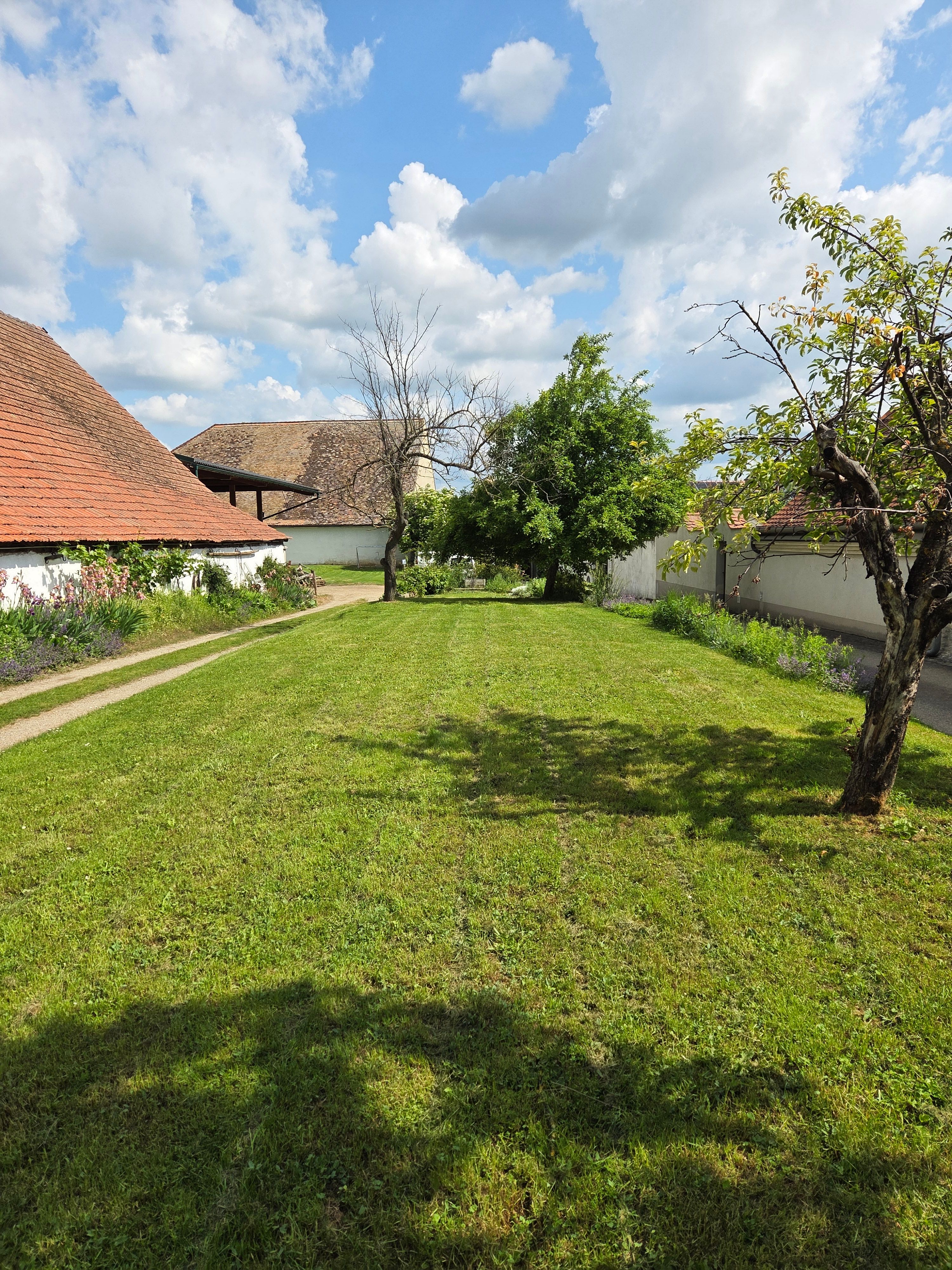 Green meadow with trees and buildings in the background under a blue sky with clouds.