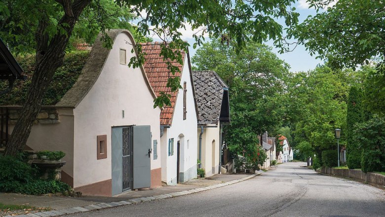 A picturesque wine cellar lane with traditional houses and trees in Stixneusiedl, Lower Austria