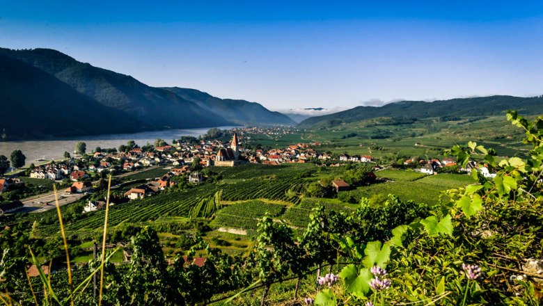 Wei&szlig;enkirchen in the Wachau, &copy; Robert Herbst