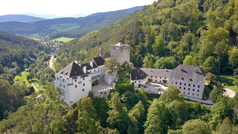 Aerial view of Stixenstein Castle surrounded by green forests and hills.