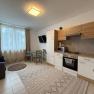 Modern furnished apartment with kitchen, dining table and sofa.