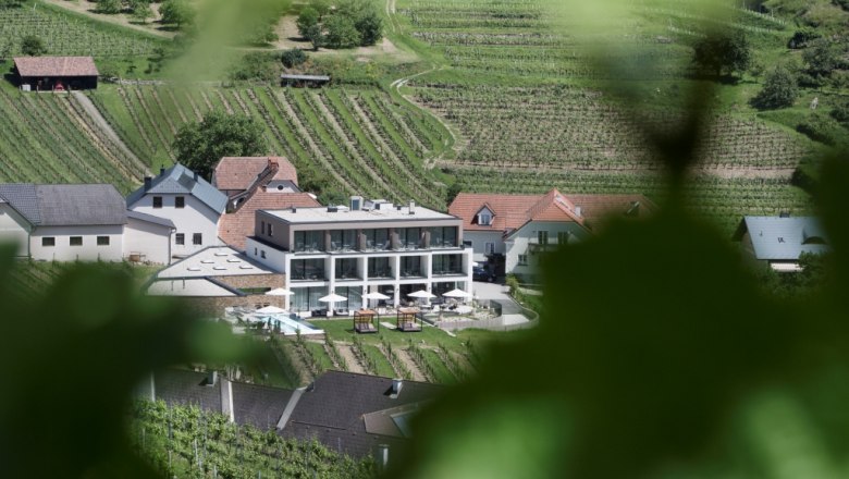 Boutique hotel surrounded by vineyards.
