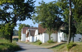 A picturesque wine cellar lane with white houses and red roofs, surrounded by trees and a quiet street.