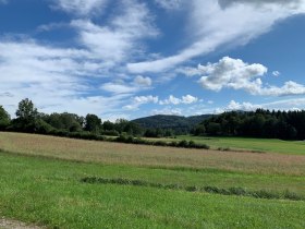 Mein Weg zum Gl&uuml;ck, &copy; Unknown