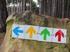 Laufstrecke F&ouml;hrenwald Orientierungspfeile, &copy; Wiener Alpen in Nieder&ouml;sterreich - Semmering Rax