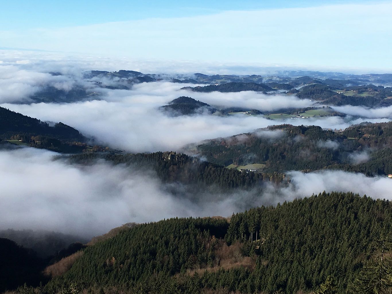 View of misty hills and forests from the castle stone wall.