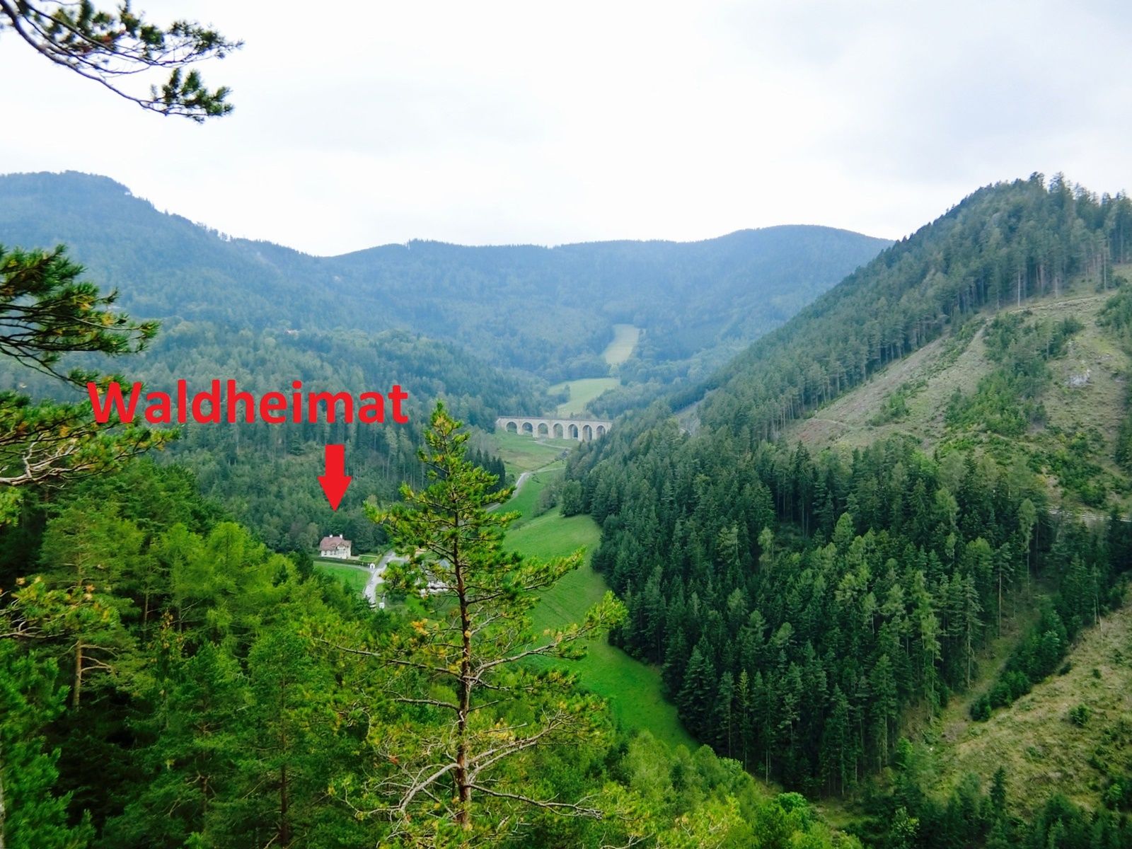 View of a wooded mountain landscape with a viaduct and a marked building called Waldheimat.
