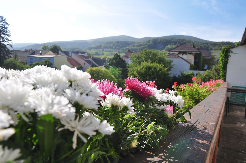 Guesthouse Hofer