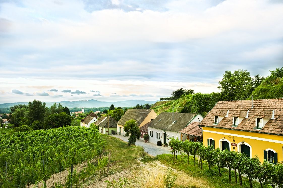 Rohrendorf wine cellar lane