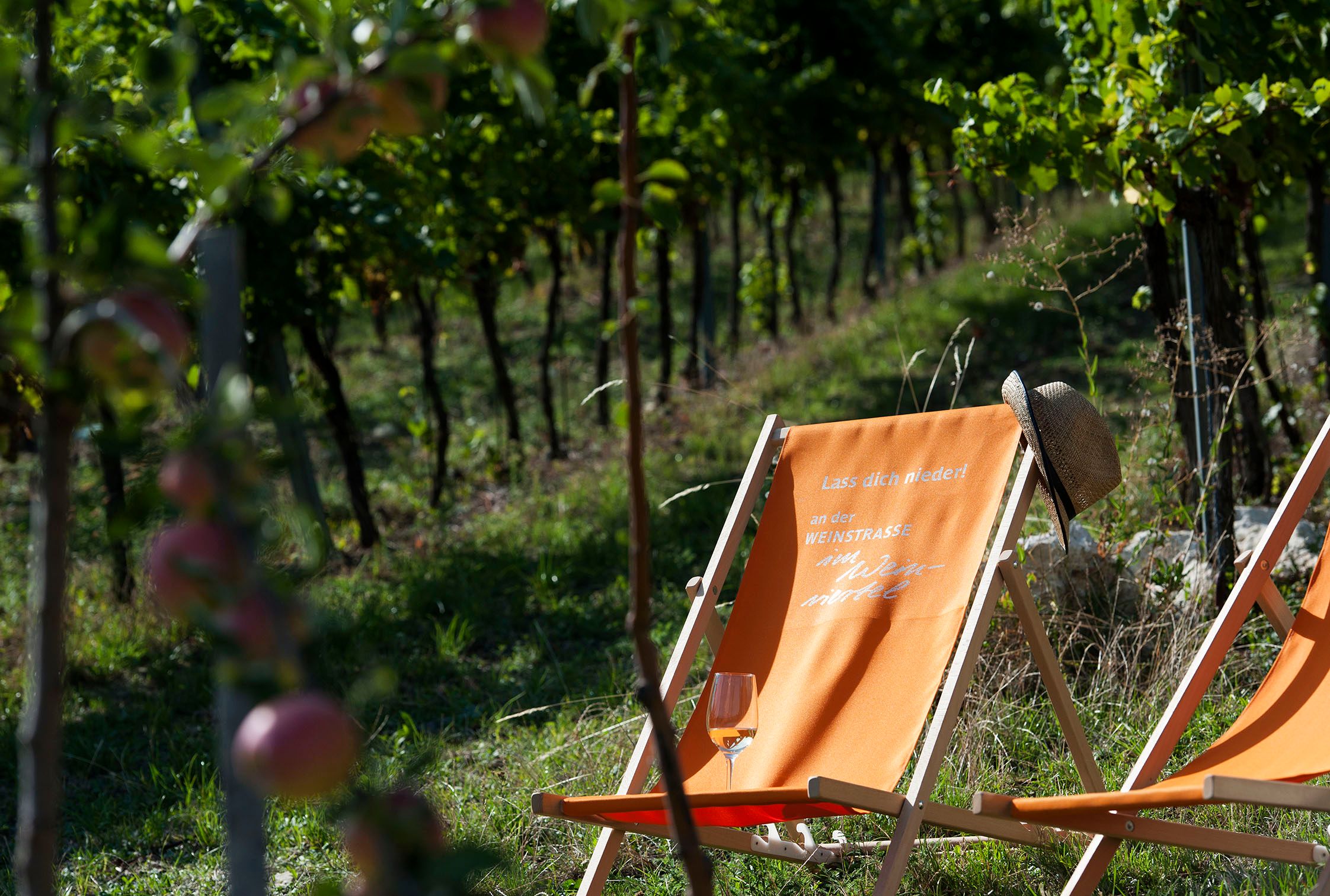 Two deckchairs in a vineyard, one with a straw hat and a glass of wine on it.