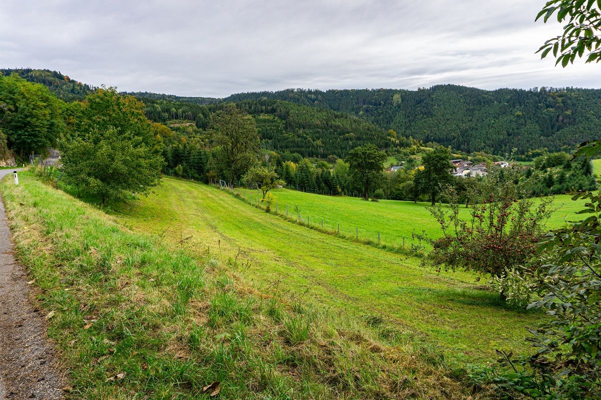 View to Loibersdorf