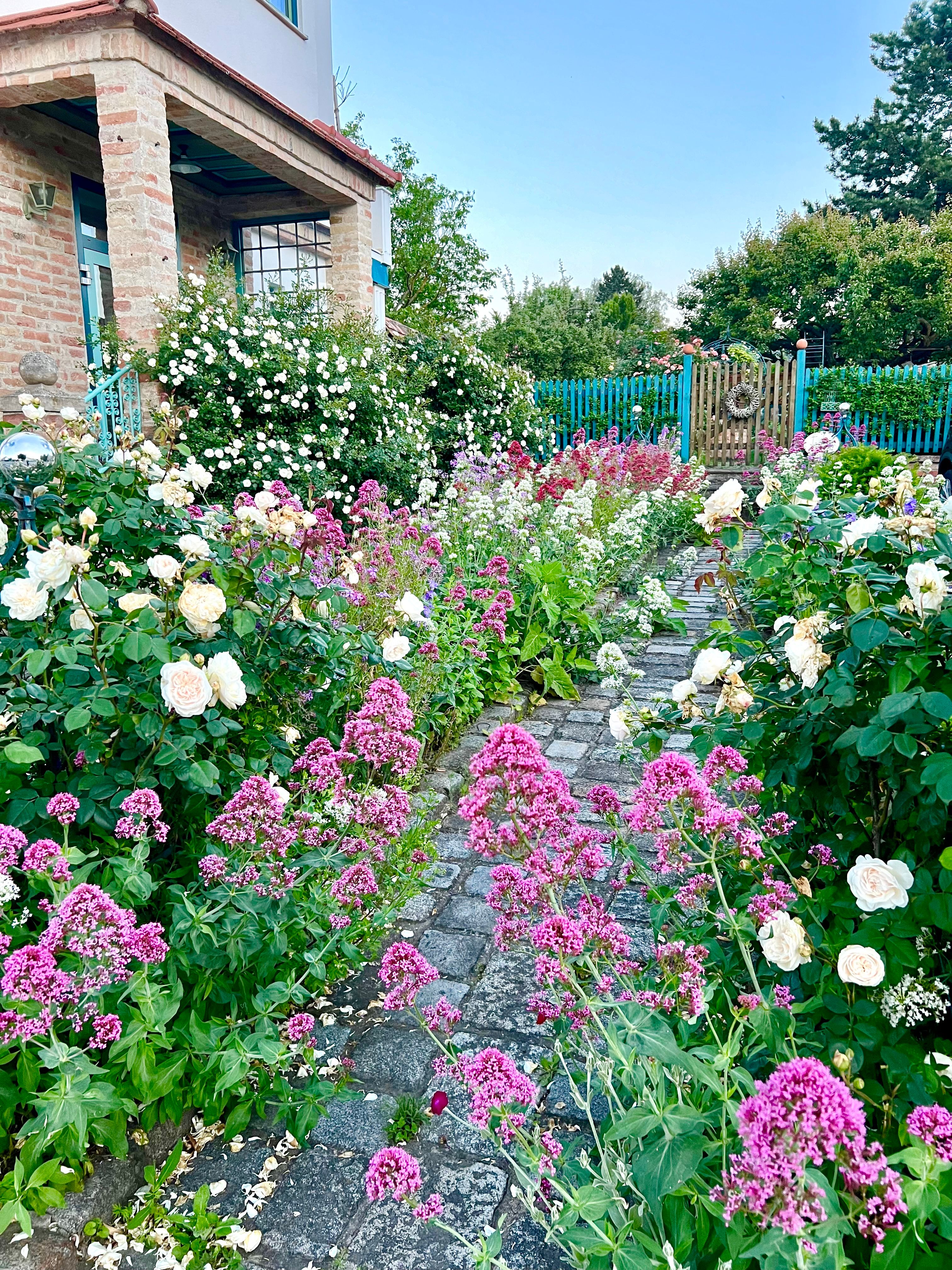 Enjoy nature in the garden