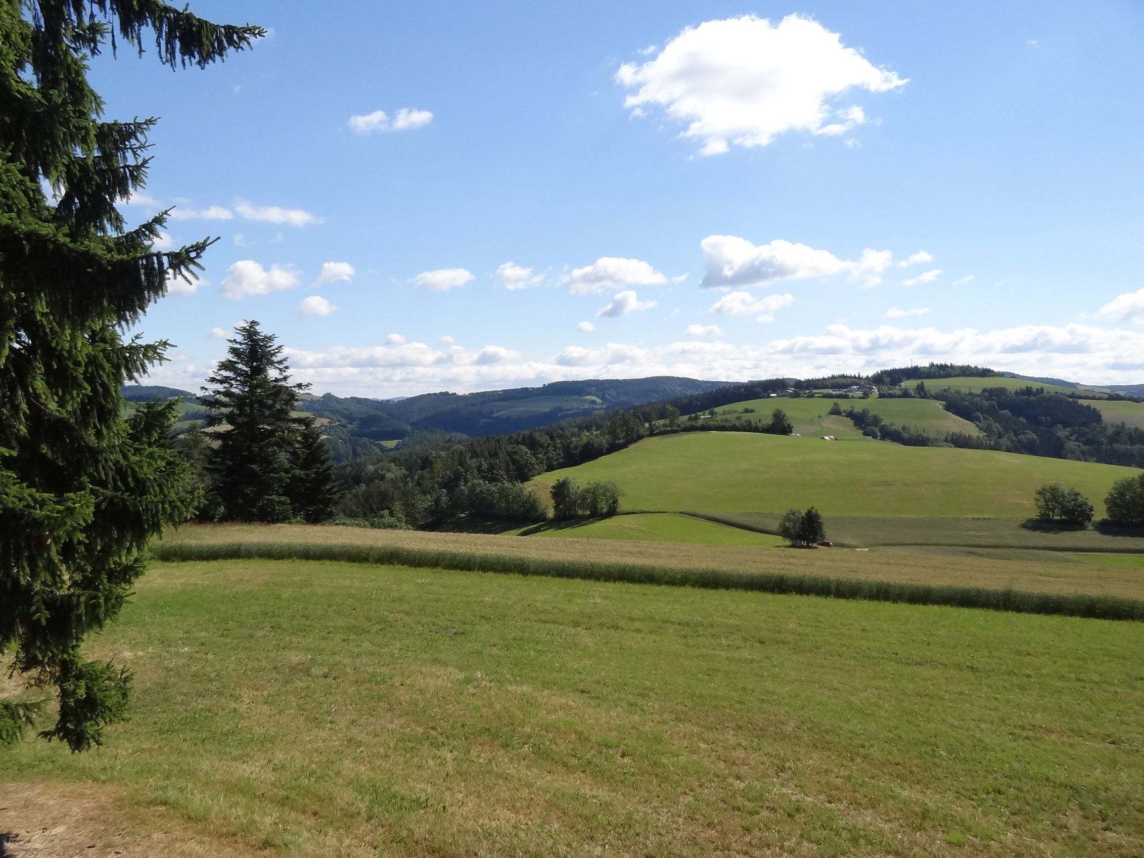 Green hills and trees under a blue sky with clouds.