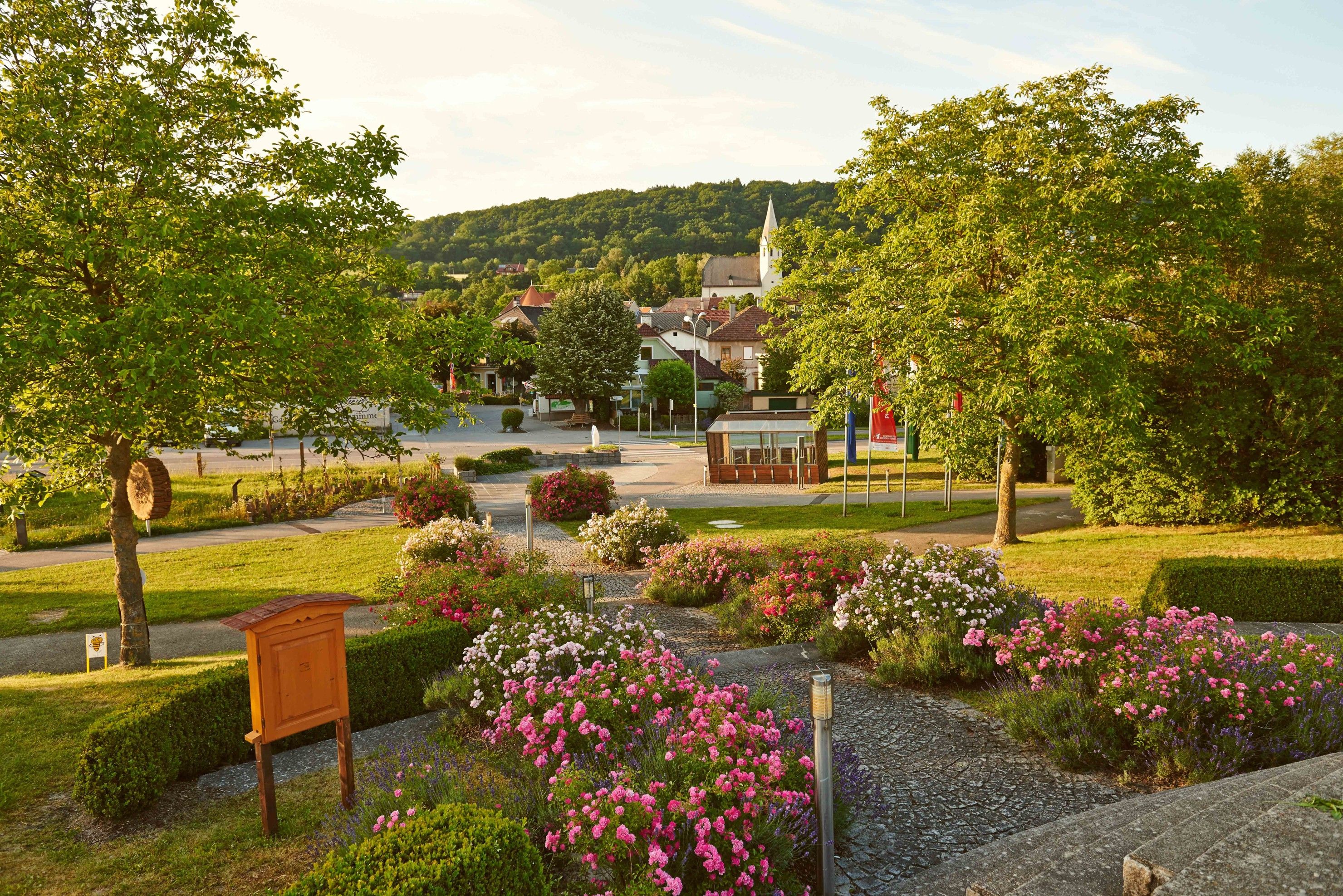 View of a well-tended garden with flowers and trees in a small community.