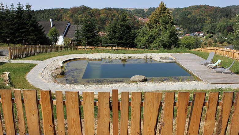 View of natural pond