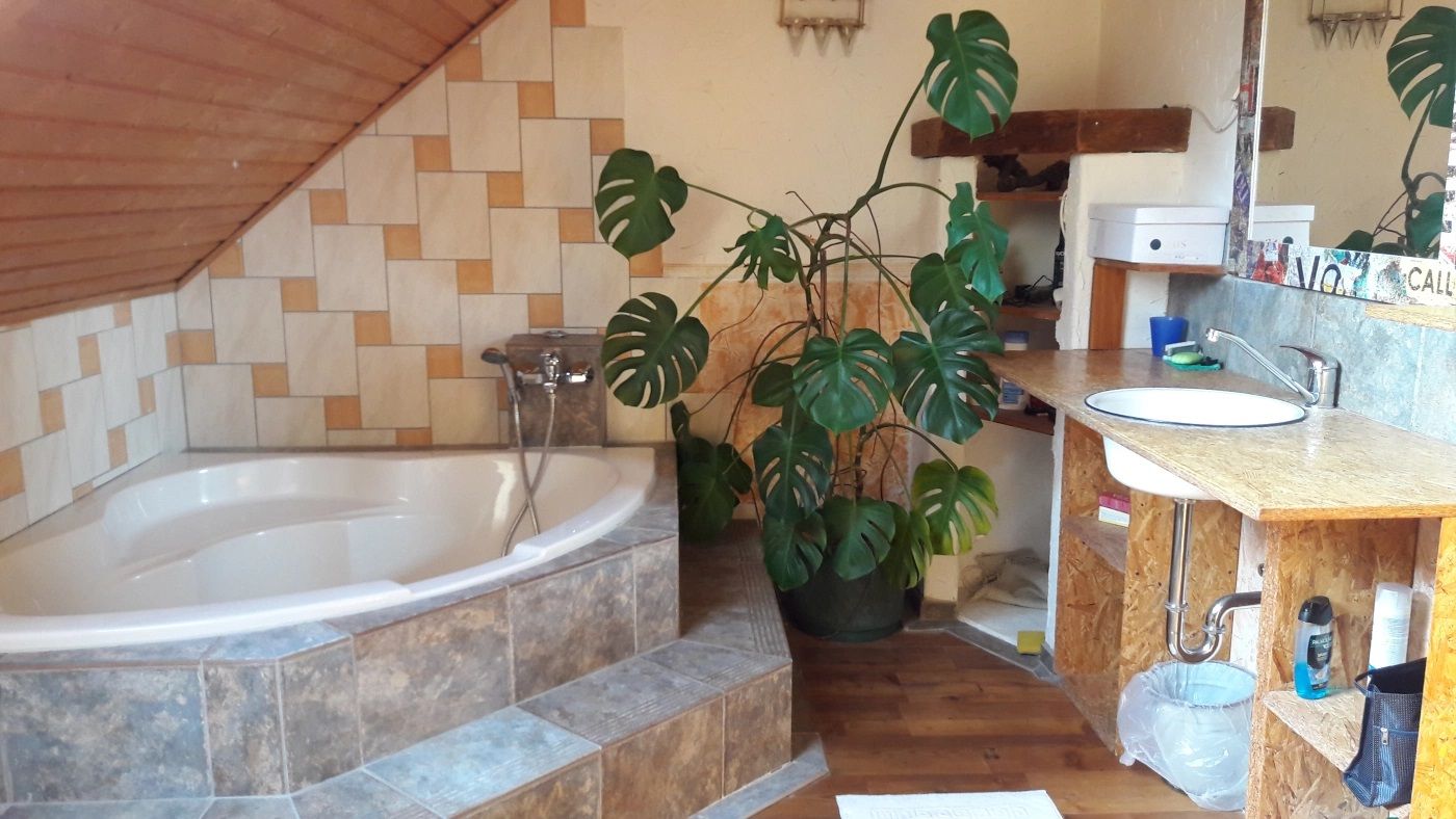 Bathroom with corner bath, washbasin and large plant.