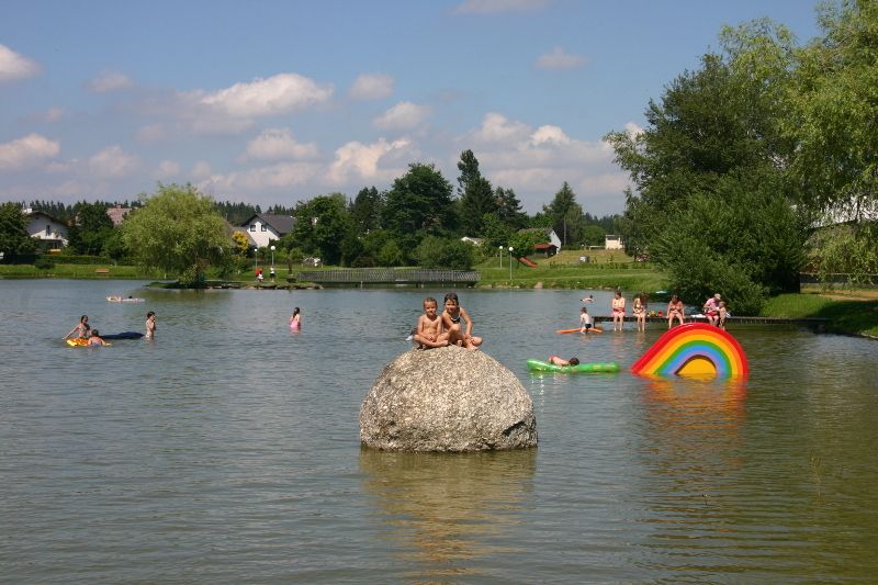 Children play in the water of a pond with colorful swimming tires and a large stone.