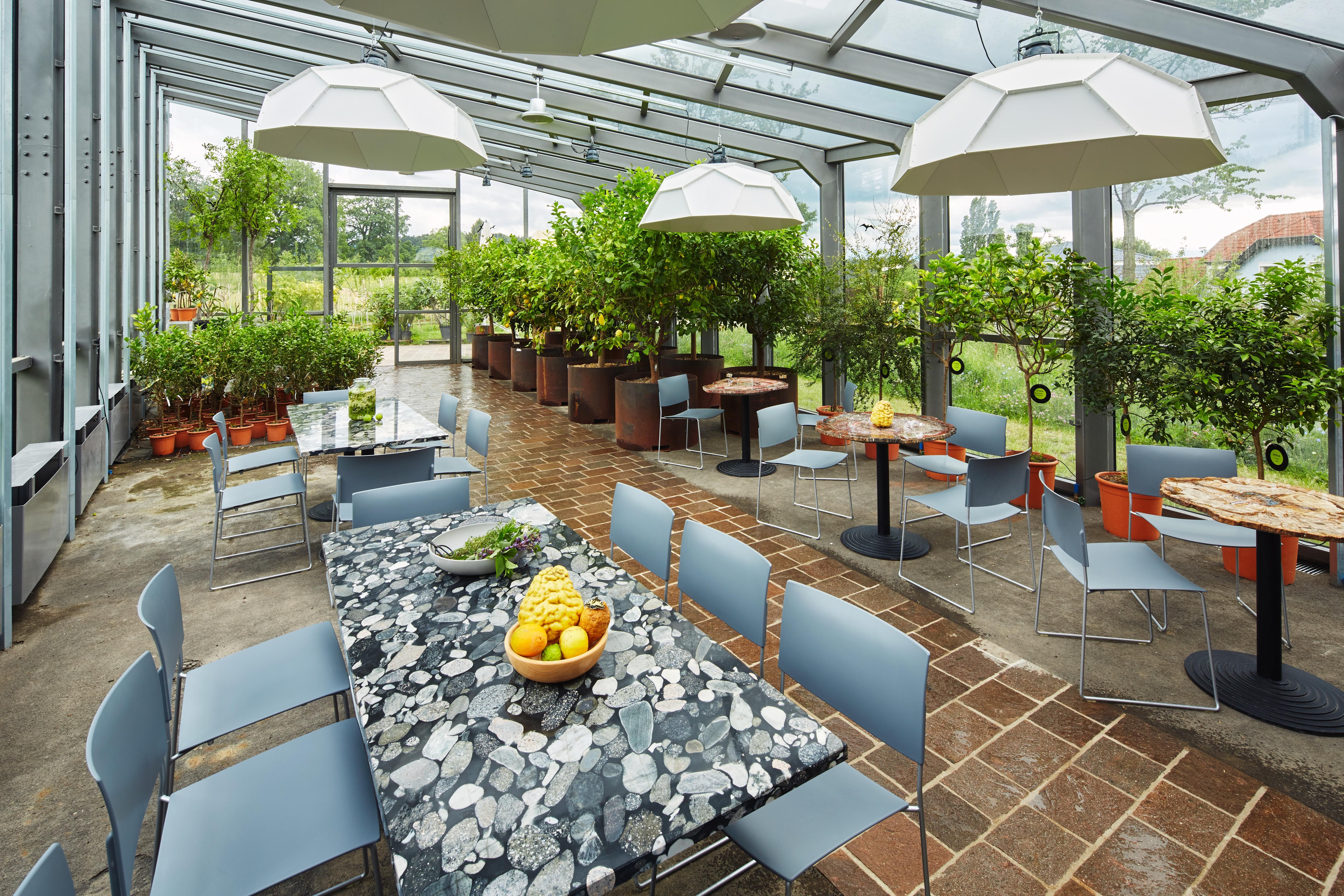Interior view of an orangery with tables, chairs and plants.